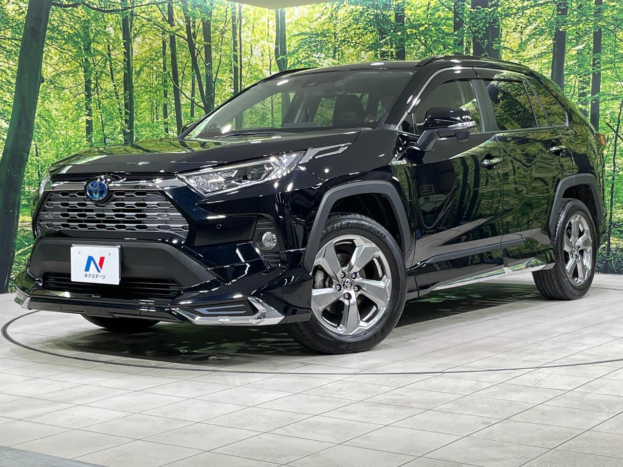 2019 Toyota RAV4 Hybrid Hybrid G