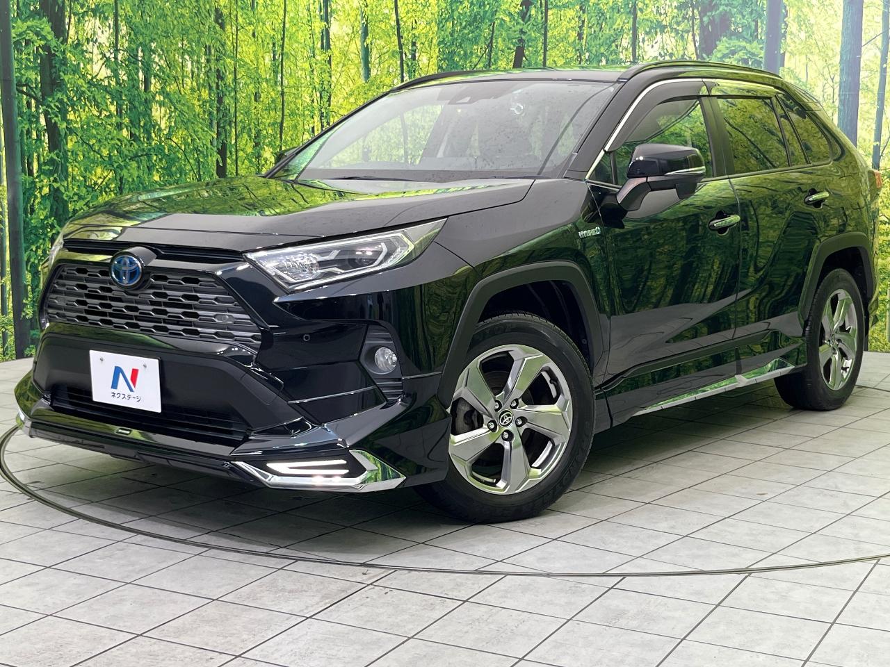 2019 Toyota RAV4 Hybrid Hybrid G
