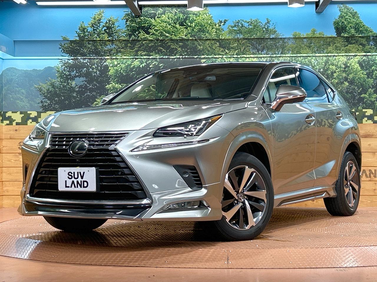2018 Lexus NX NX300 Version L