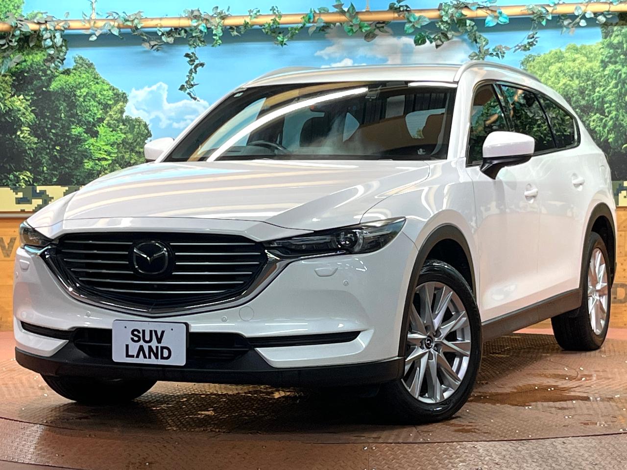 2018 Mazda CX-8 XD Proactive