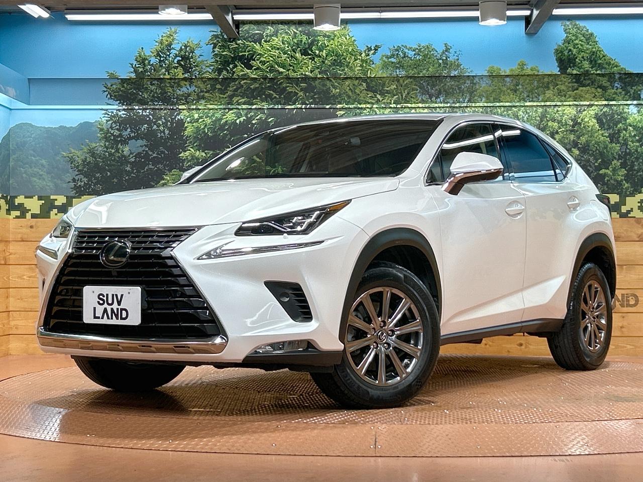 2017 Lexus NX NX300i Package