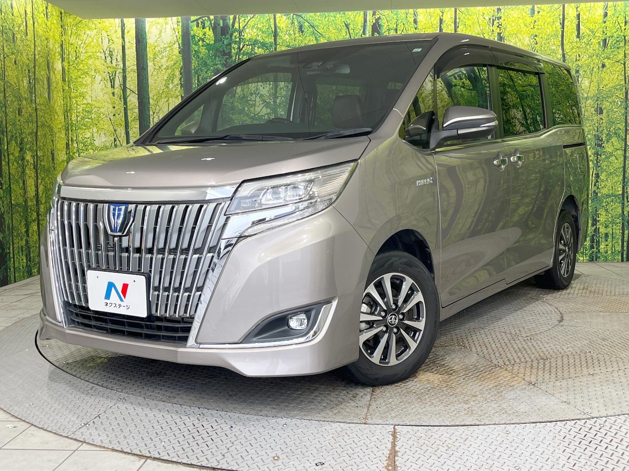 2017 Toyota Esquire Hybrid Hybrid Gi Premium Package