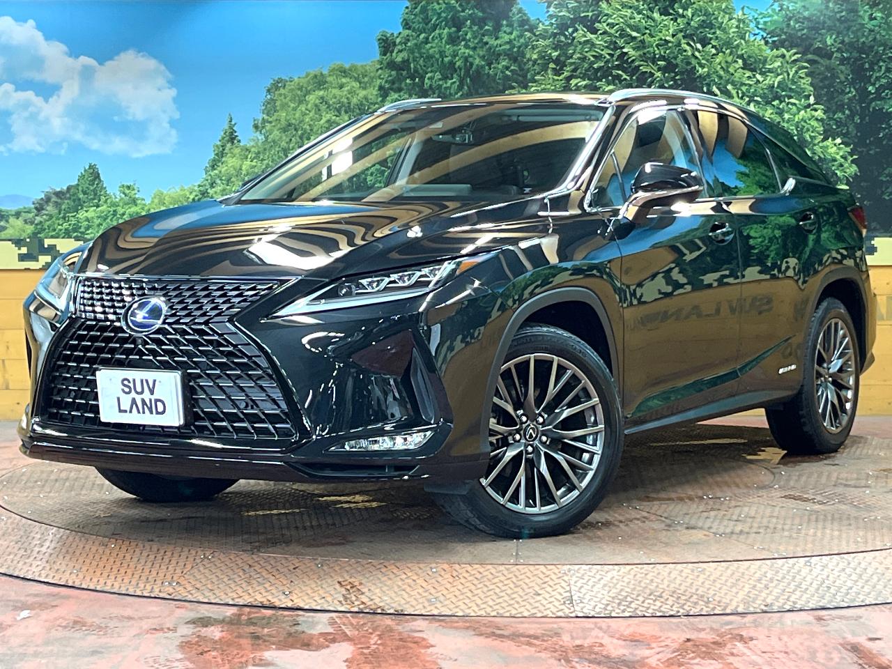2019 Lexus RX Hybrid RX450h VERSION L