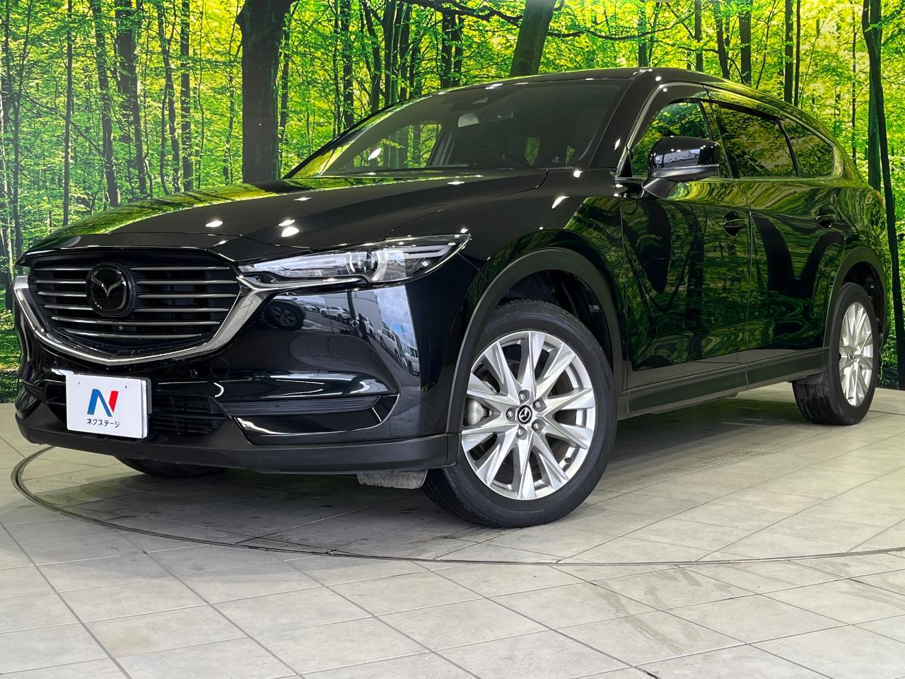 2017 Mazda CX-8 XD Proactive