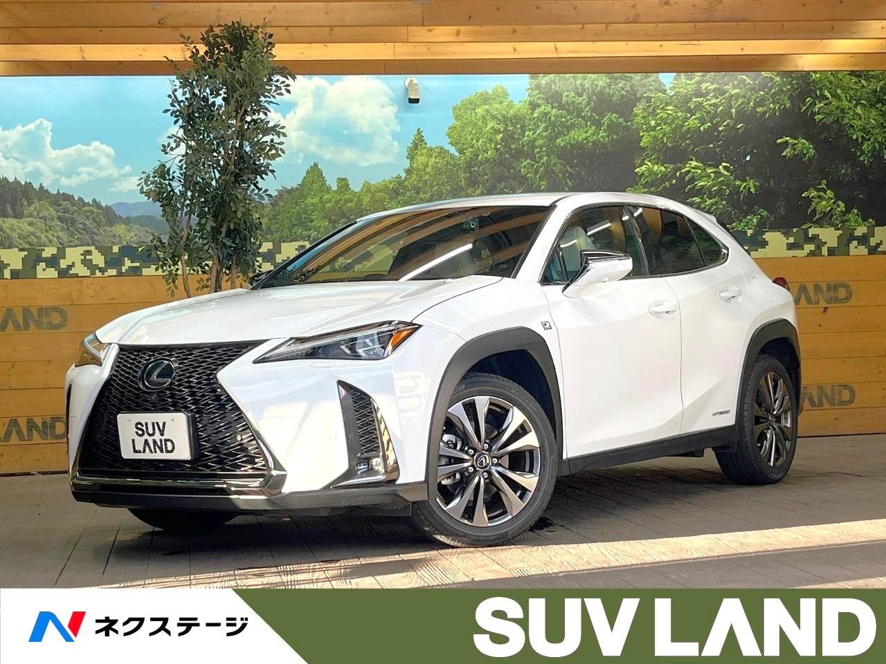 2021 Lexus UX Hybrid UX250h F SPORT
