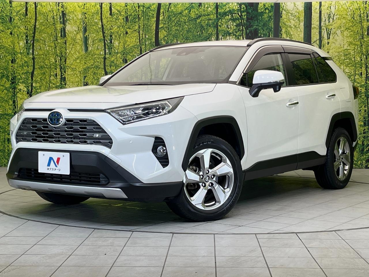 2021 Toyota RAV4 Hybrid Hybrid G