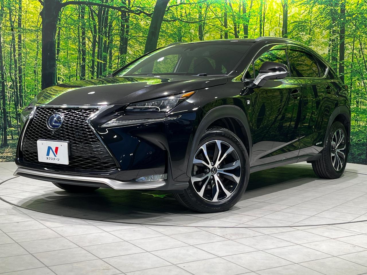 2015 Lexus NX Hybrid NX300h F SPORT