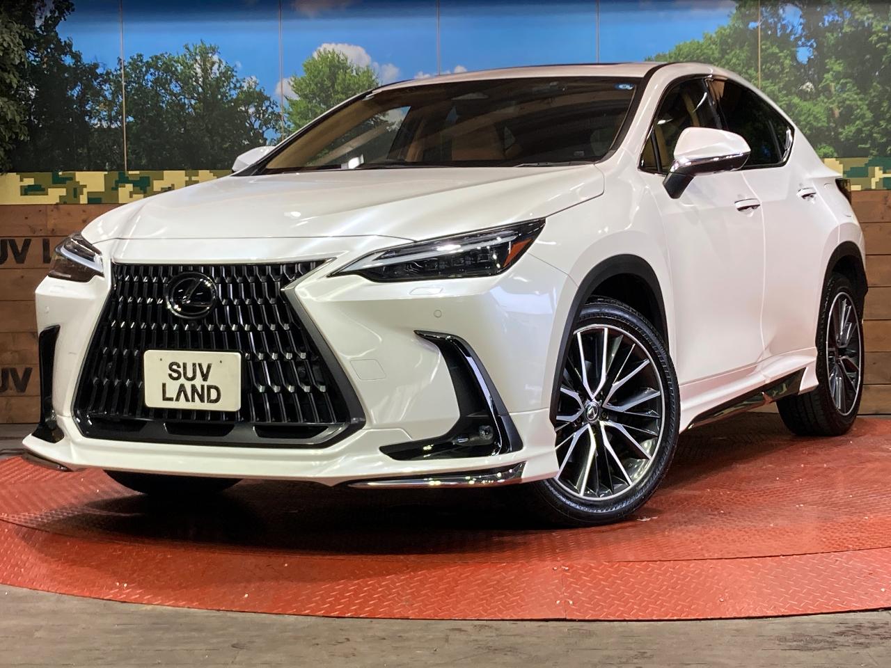 2023 Lexus NX NX250 Version L
