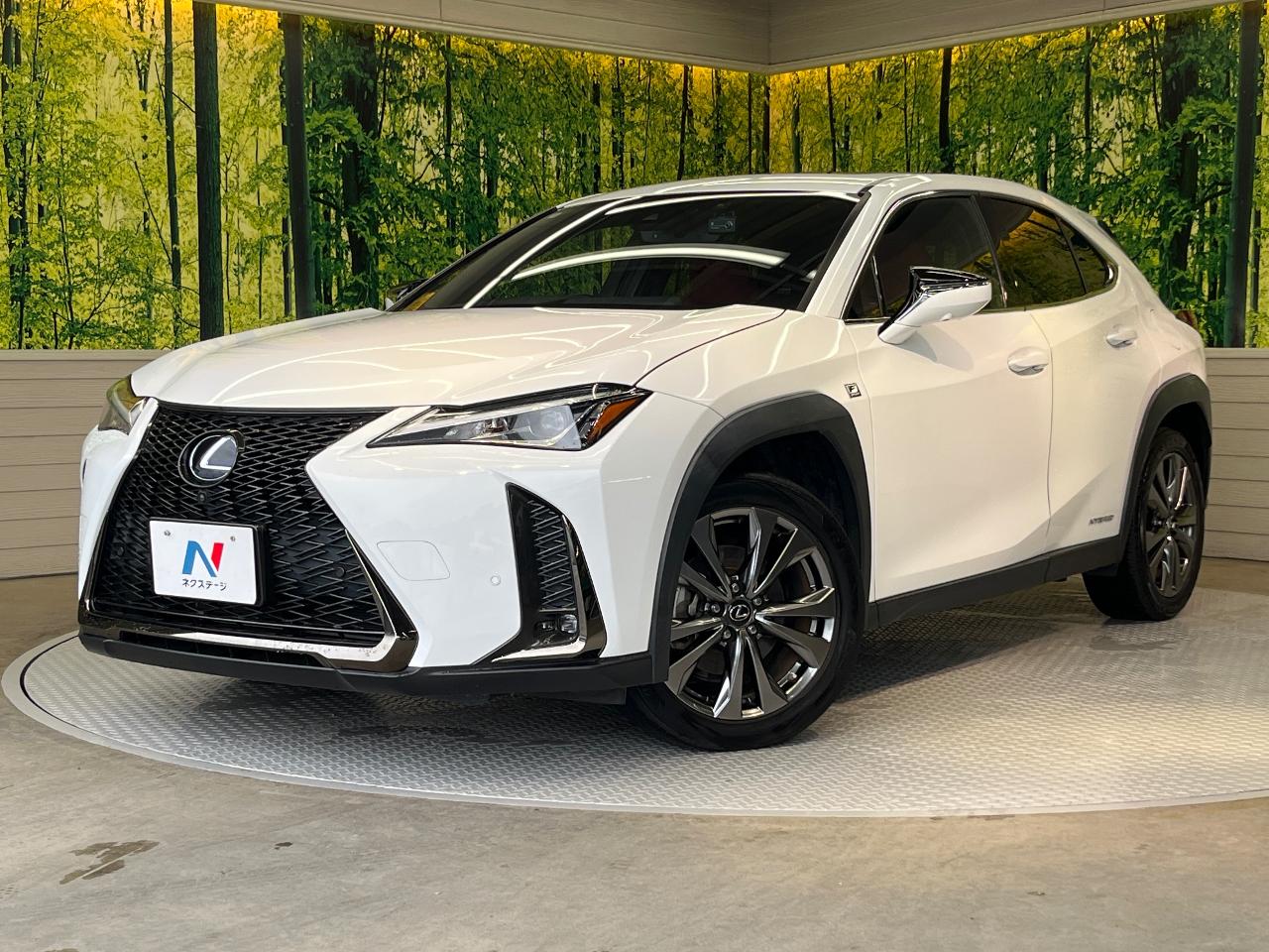 2020 Lexus UX Hybrid UX250h F SPORT
