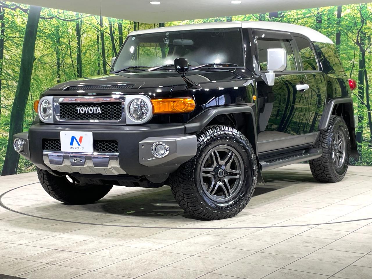 2017 Toyota FJCruiser Color Package