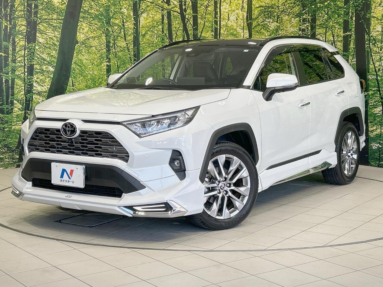 2023 Toyota RAV4 5D G Z Package