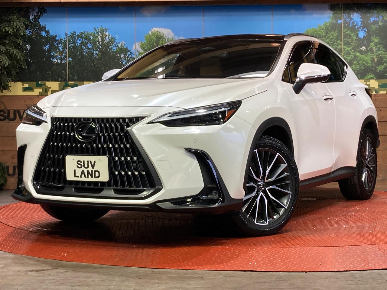 2023 Lexus NX NX250 Version L