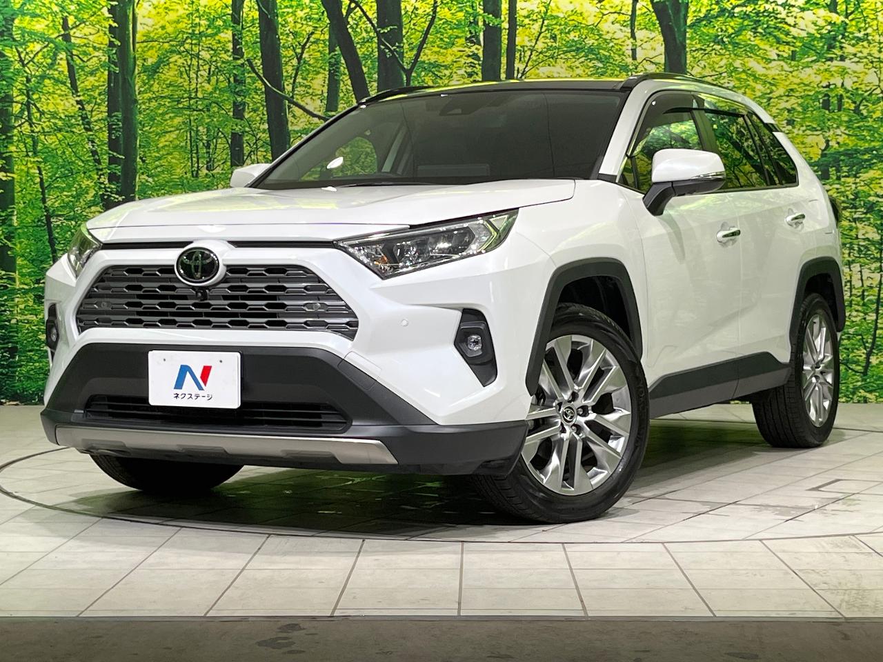 2023 Toyota RAV4 5D G Z Package