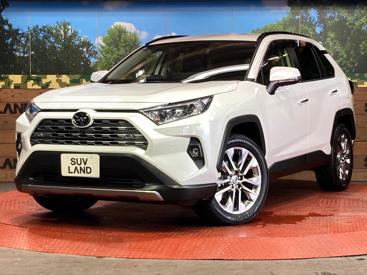 2025 Toyota RAV4 5D G Z Package
