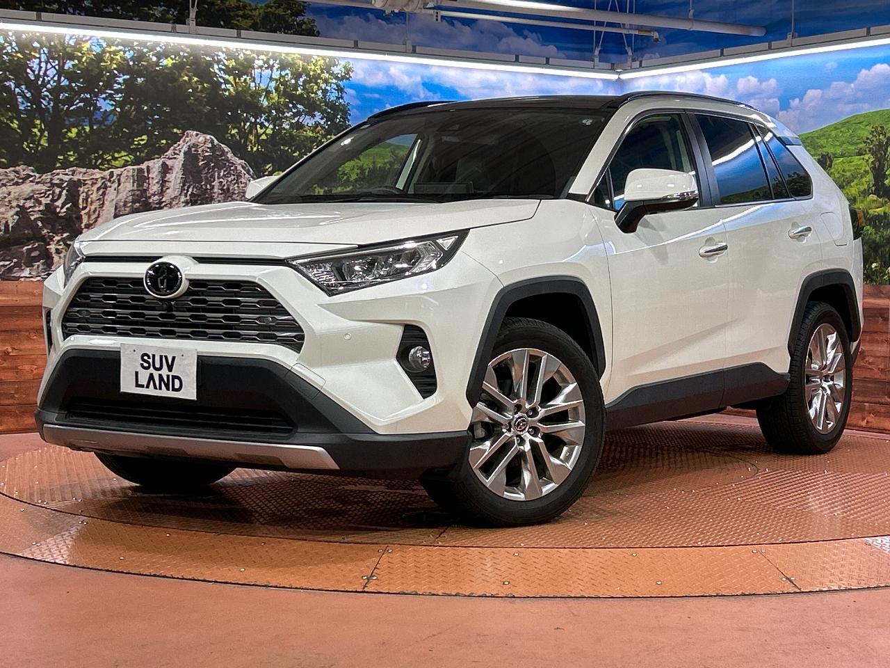 2021 Toyota RAV4 5D G Z Package