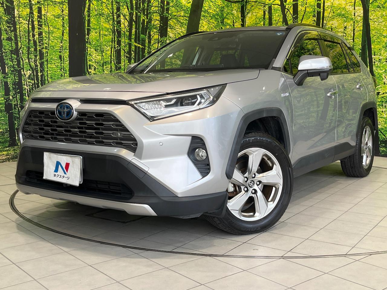 2019 Toyota RAV4 Hybrid Hybrid G