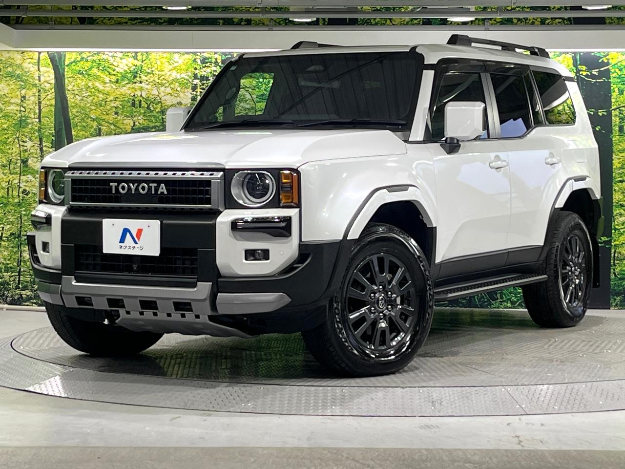 2025 Toyota LandCruiser 250 VX