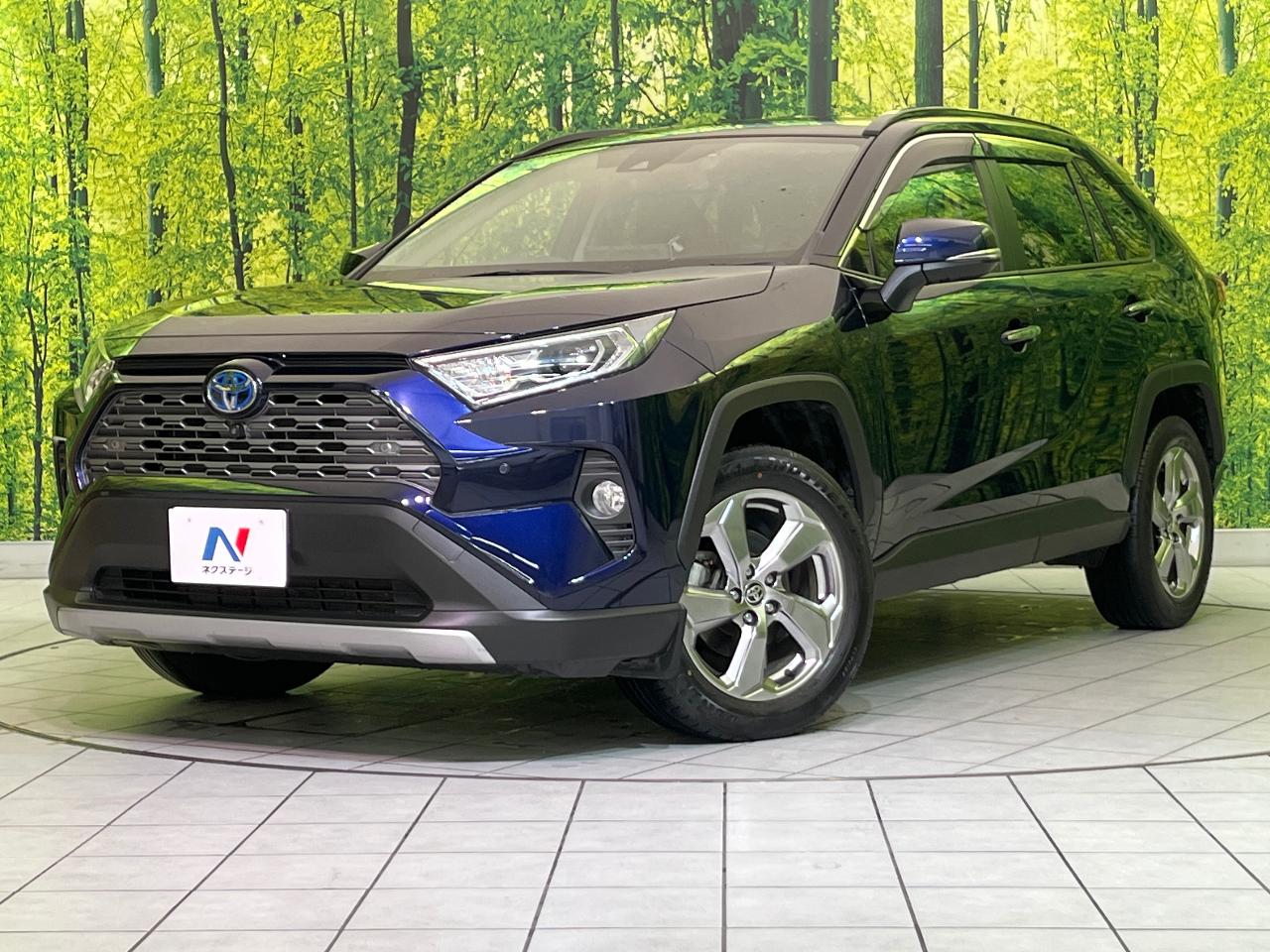 2021 Toyota RAV4 Hybrid Hybrid G