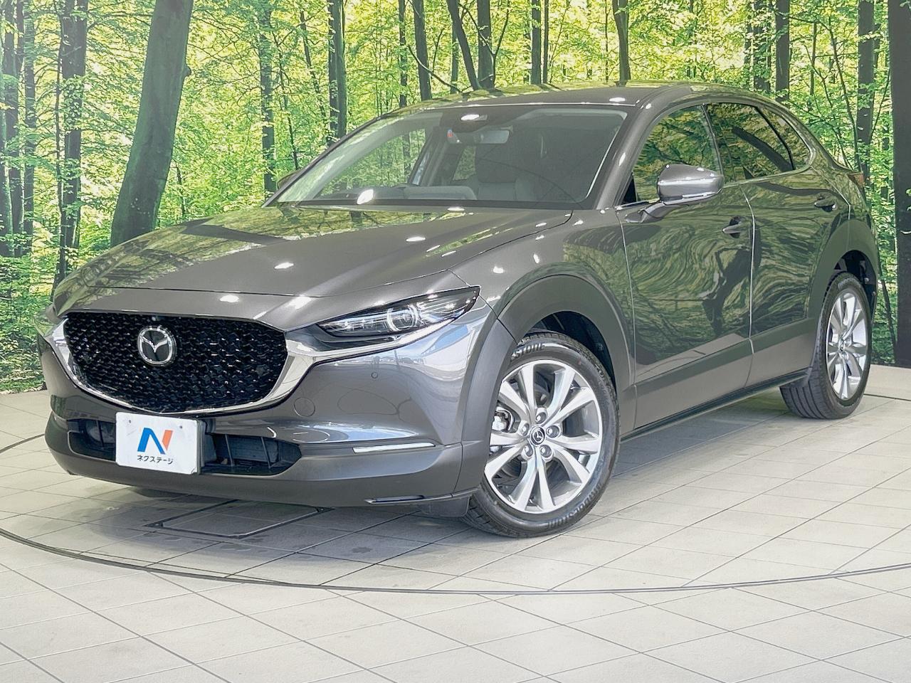 2019 Mazda CX-30 XD Proactive