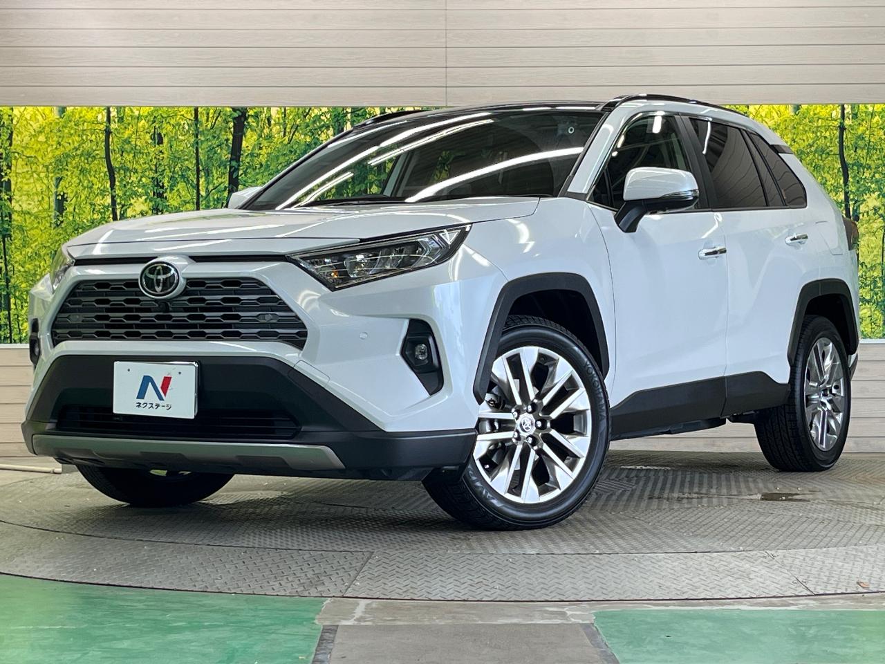 2023 Toyota RAV4 5D G Z Package
