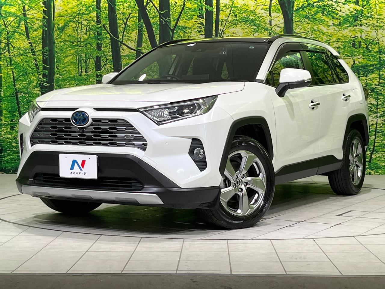 2020 Toyota RAV4 Hybrid Hybrid G