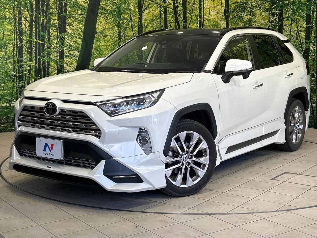 2020 Toyota RAV4 5D G Z Package