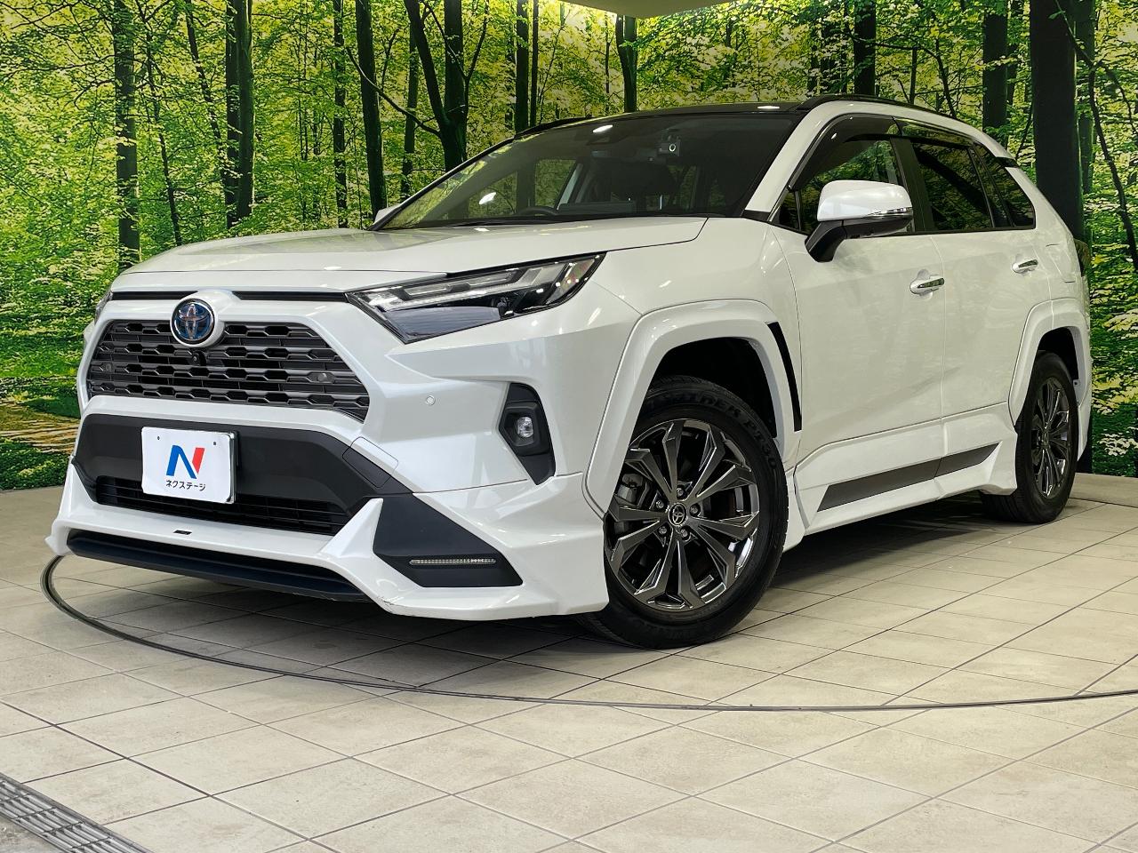2023 Toyota RAV4 Hybrid Hybrid G