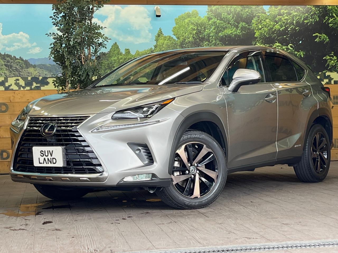 2020 Lexus NX Hybrid NX300h Version L