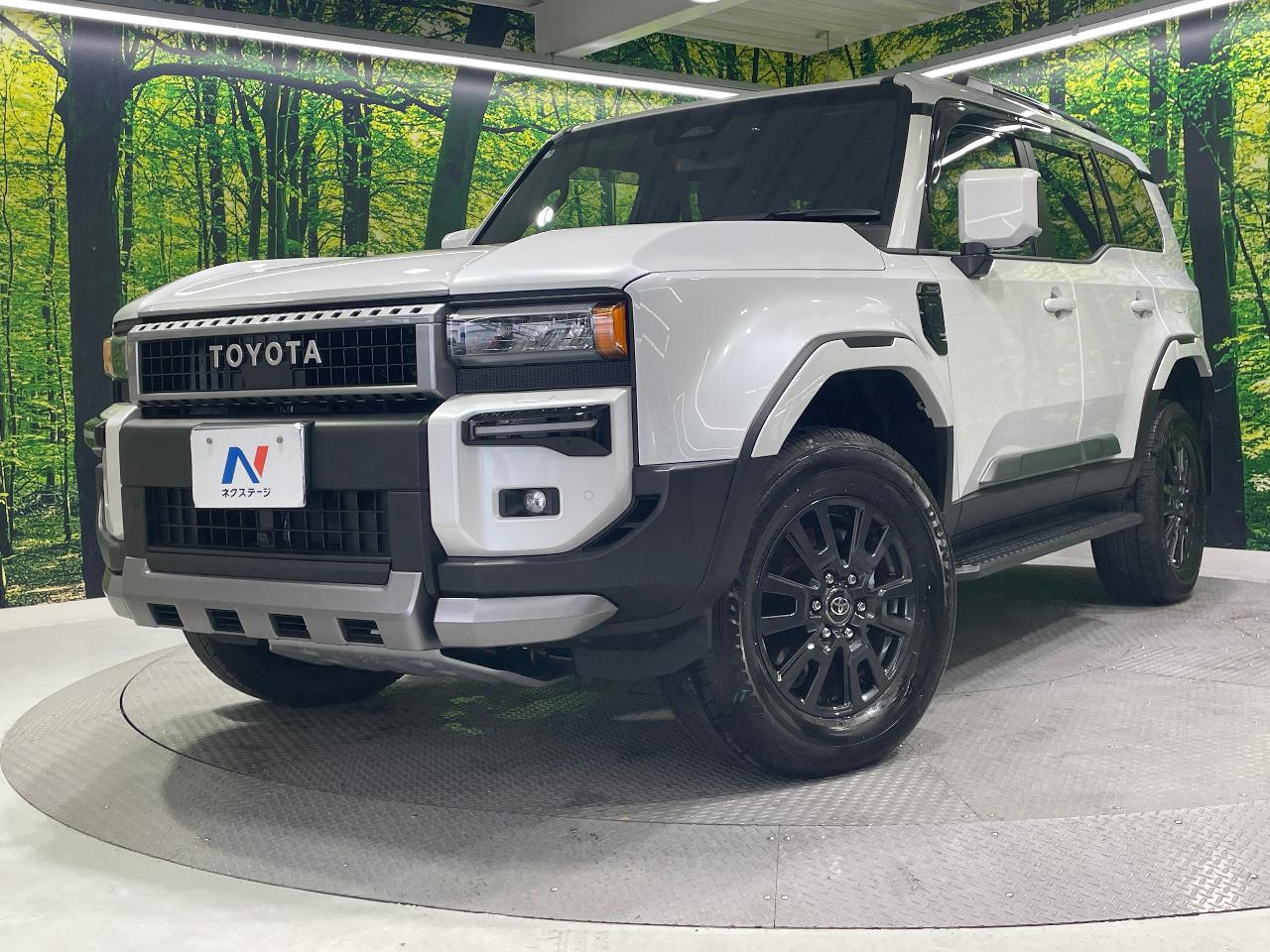 2025 Toyota LandCruiser 250 VX