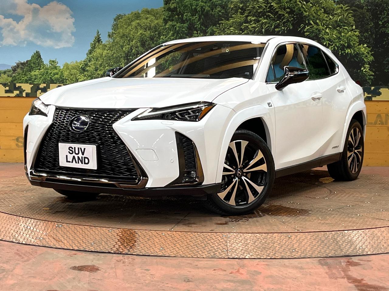 2022 Lexus UX Hybrid UX250h Special Edition F Sport Style Blue