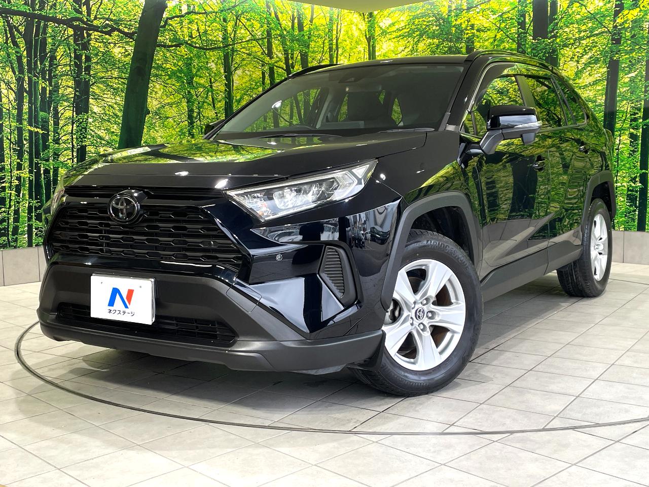 2019 Toyota RAV4 5D X