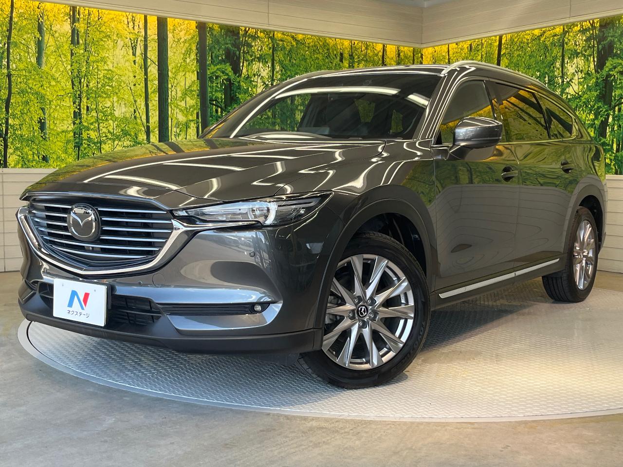 2020 Mazda CX-8 XD Proactive S Package