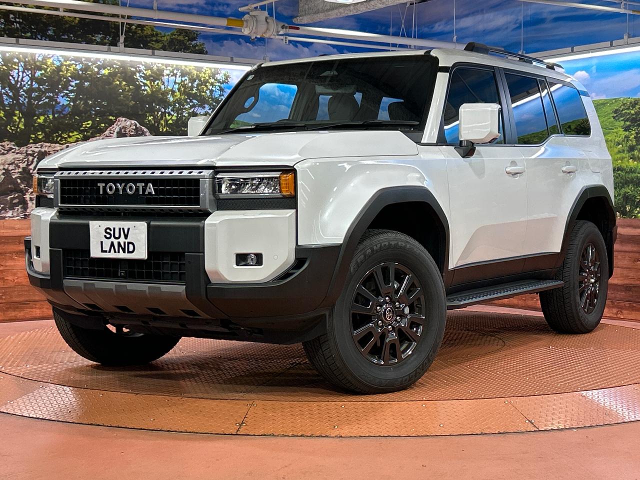 2025 Toyota LandCruiser 250 VX