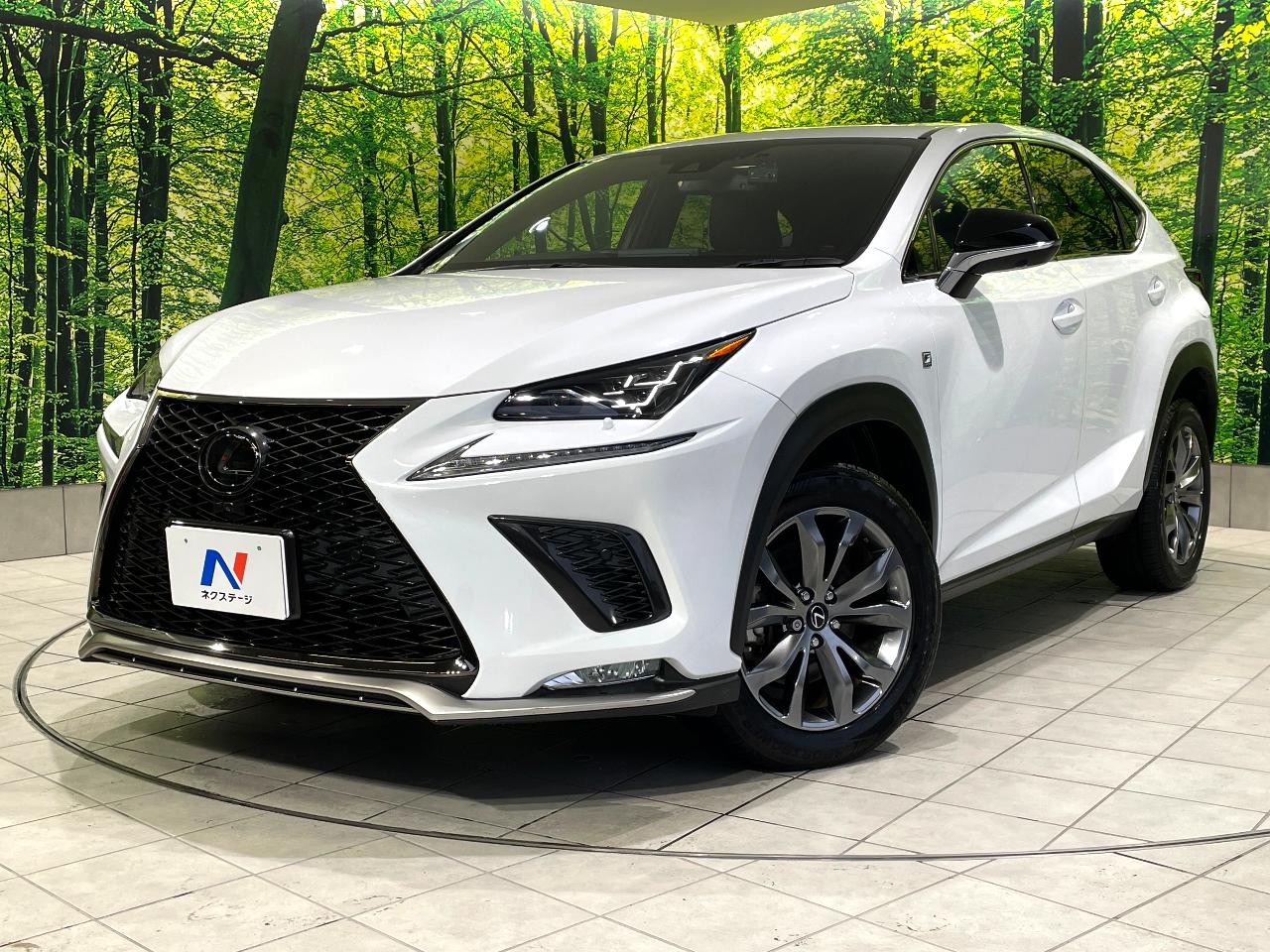 2020 Lexus NX NX300 F Sport