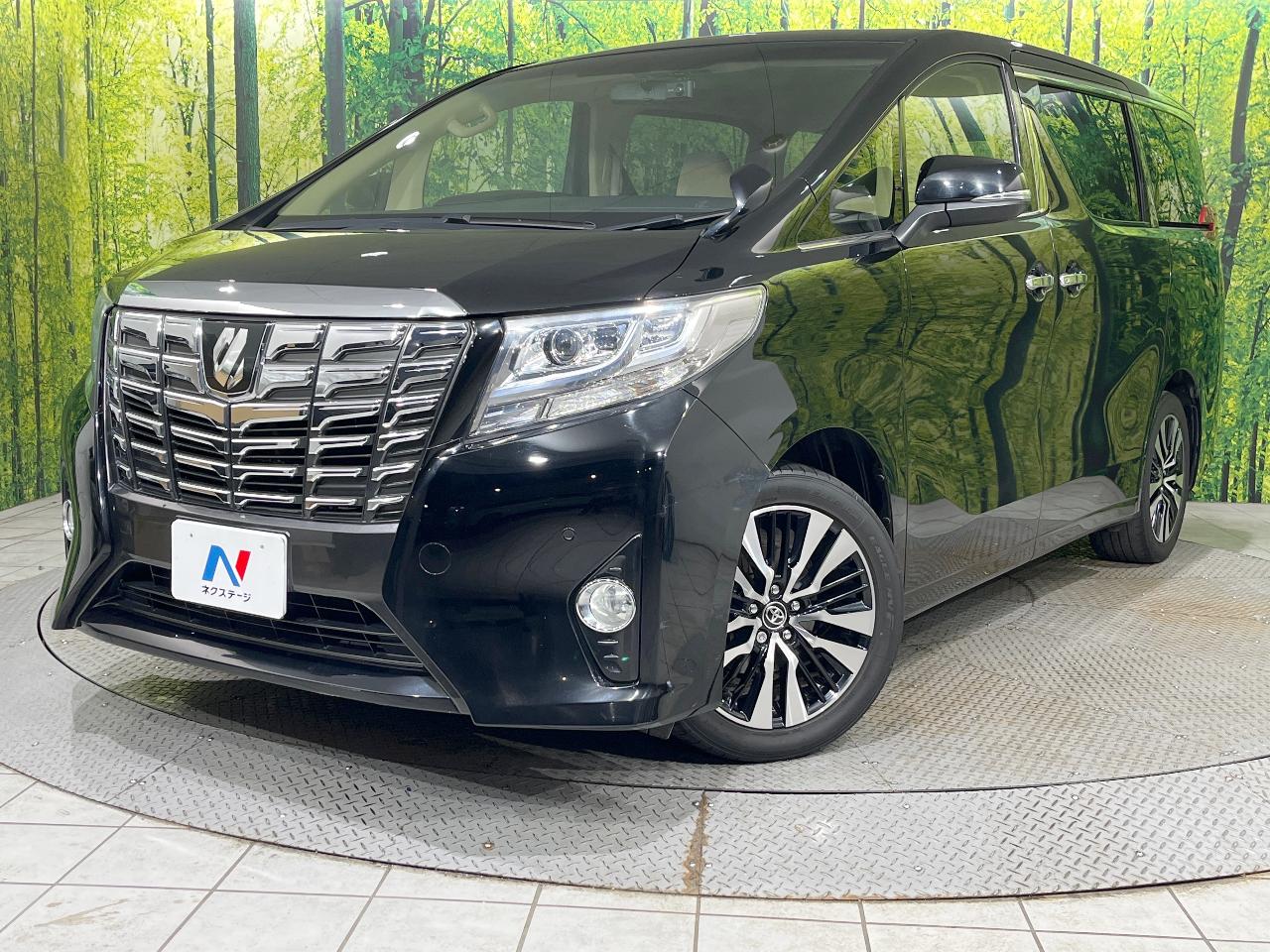 2016 Toyota Alphard 2.5X