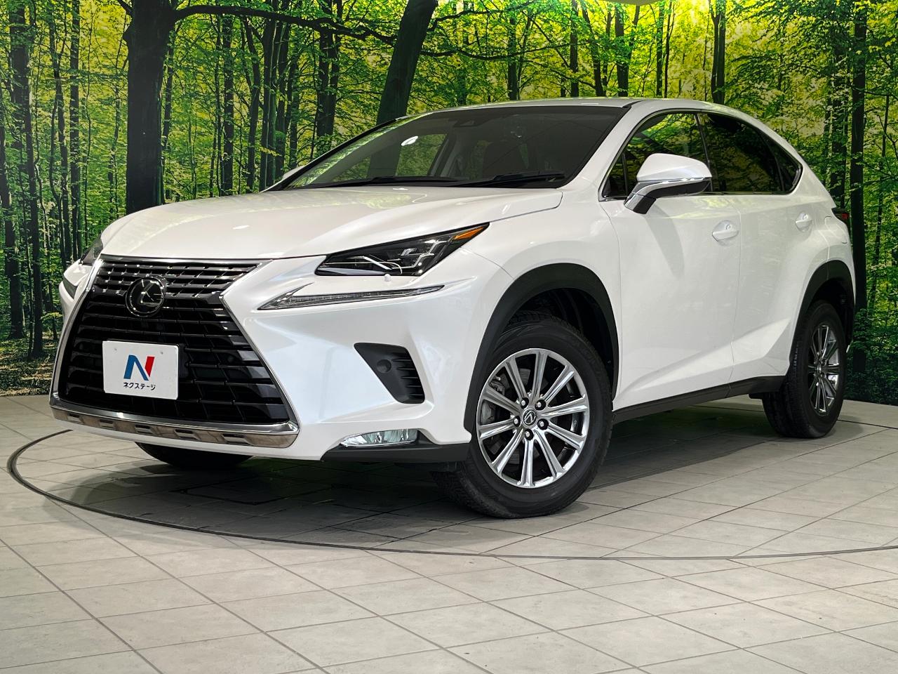 2018 Lexus NX NX300i Package