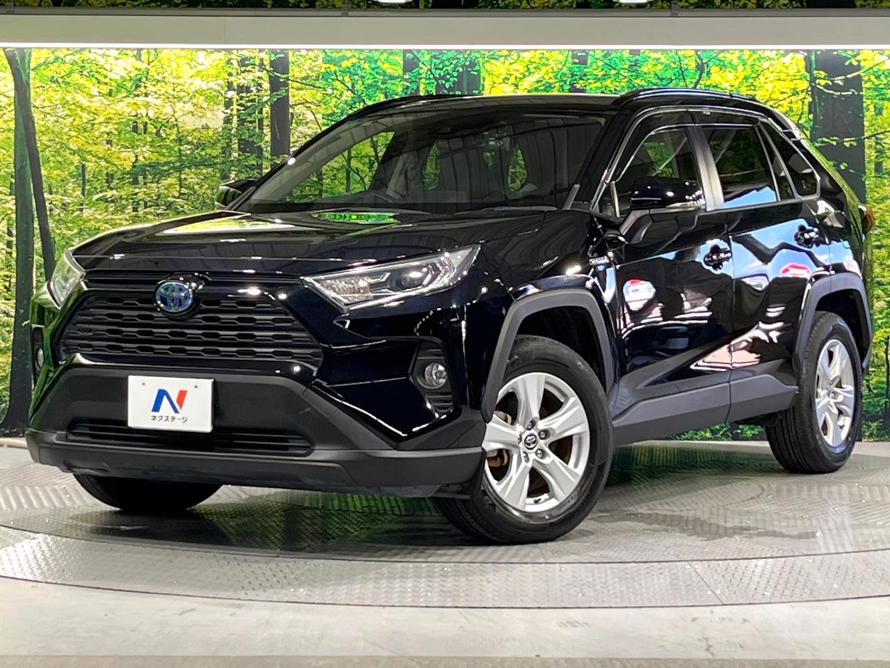 2019 Toyota RAV4 Hybrid Hybrid X