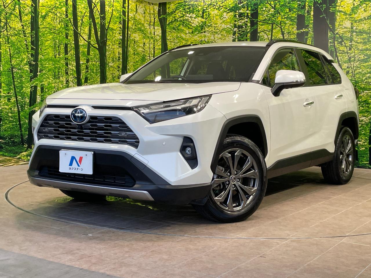 2023 Toyota RAV4 Hybrid Hybrid G