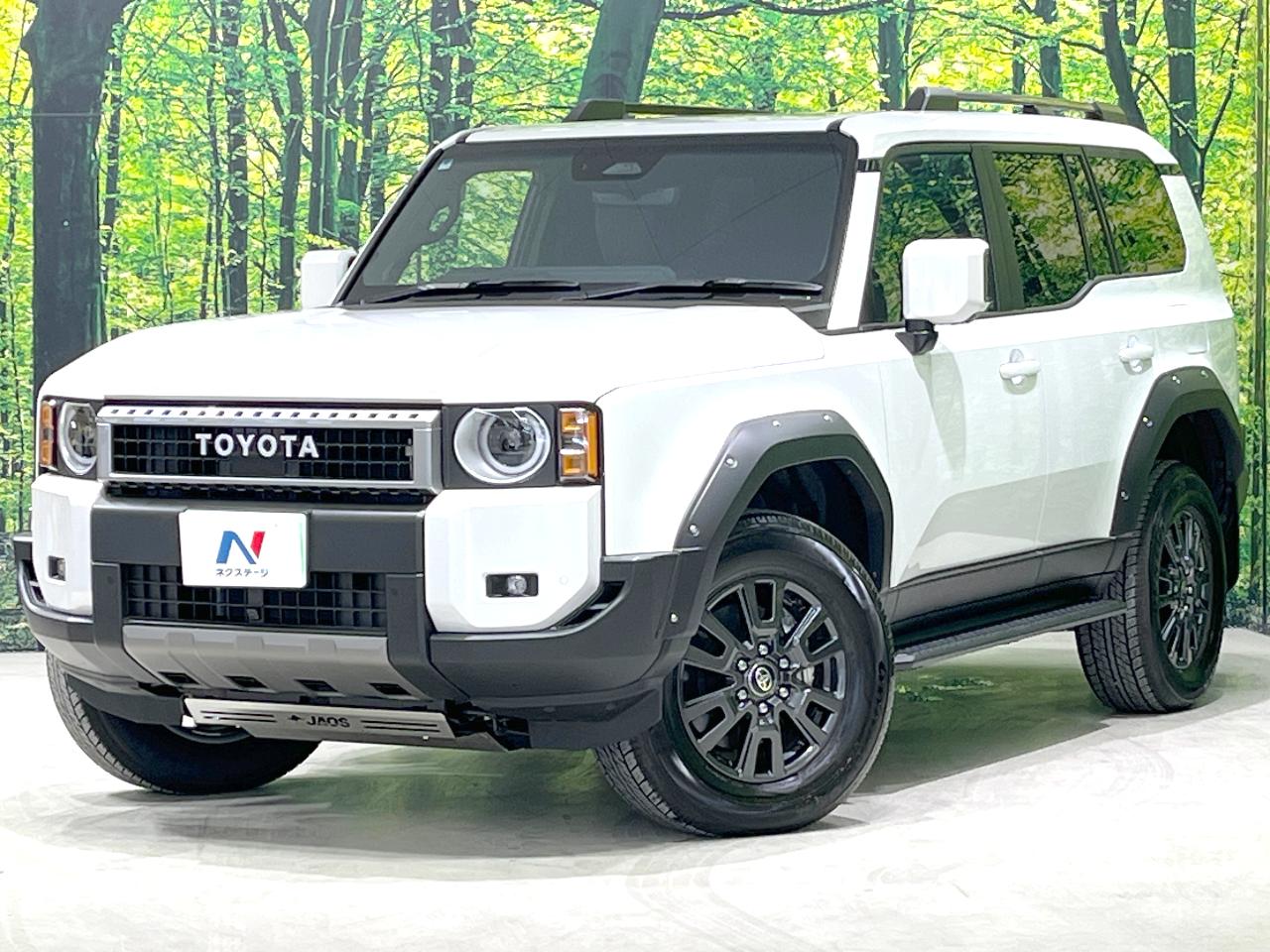 2024 Toyota LandCruiser 250 VX