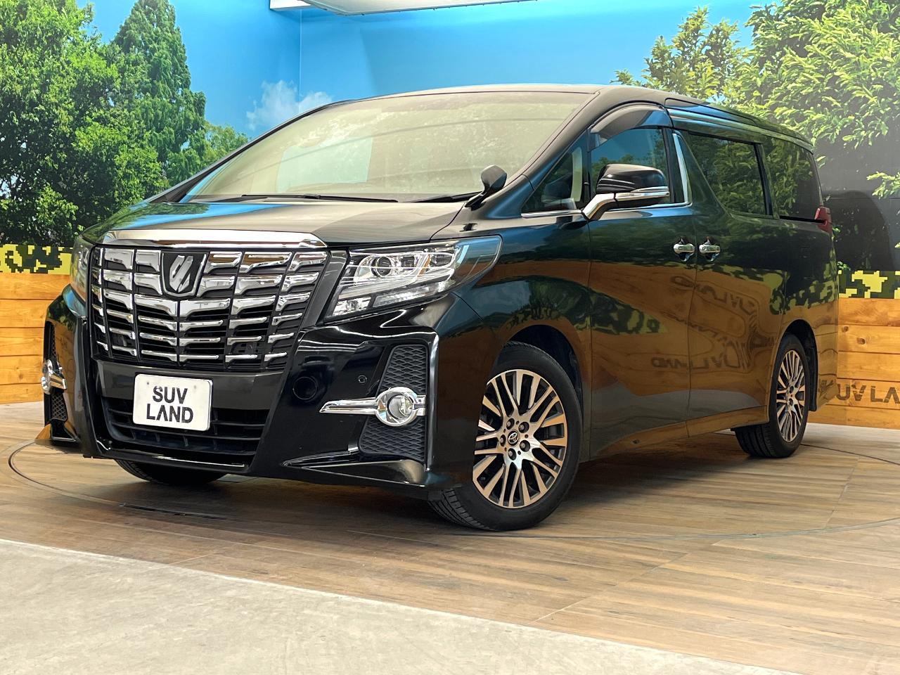 2016 Toyota Alphard 2.5S C Package