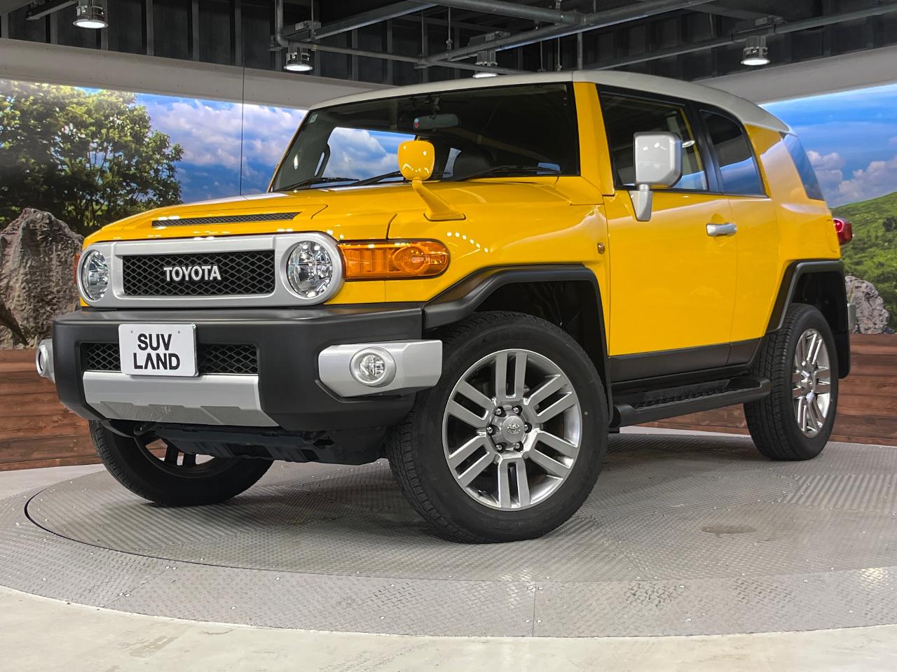 2016 Toyota FJCruiser Color Package