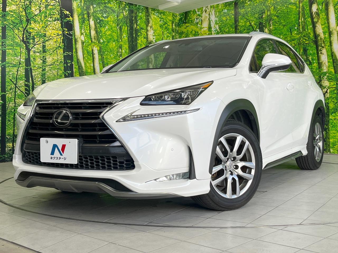 2014 Lexus NX NX200t I Package