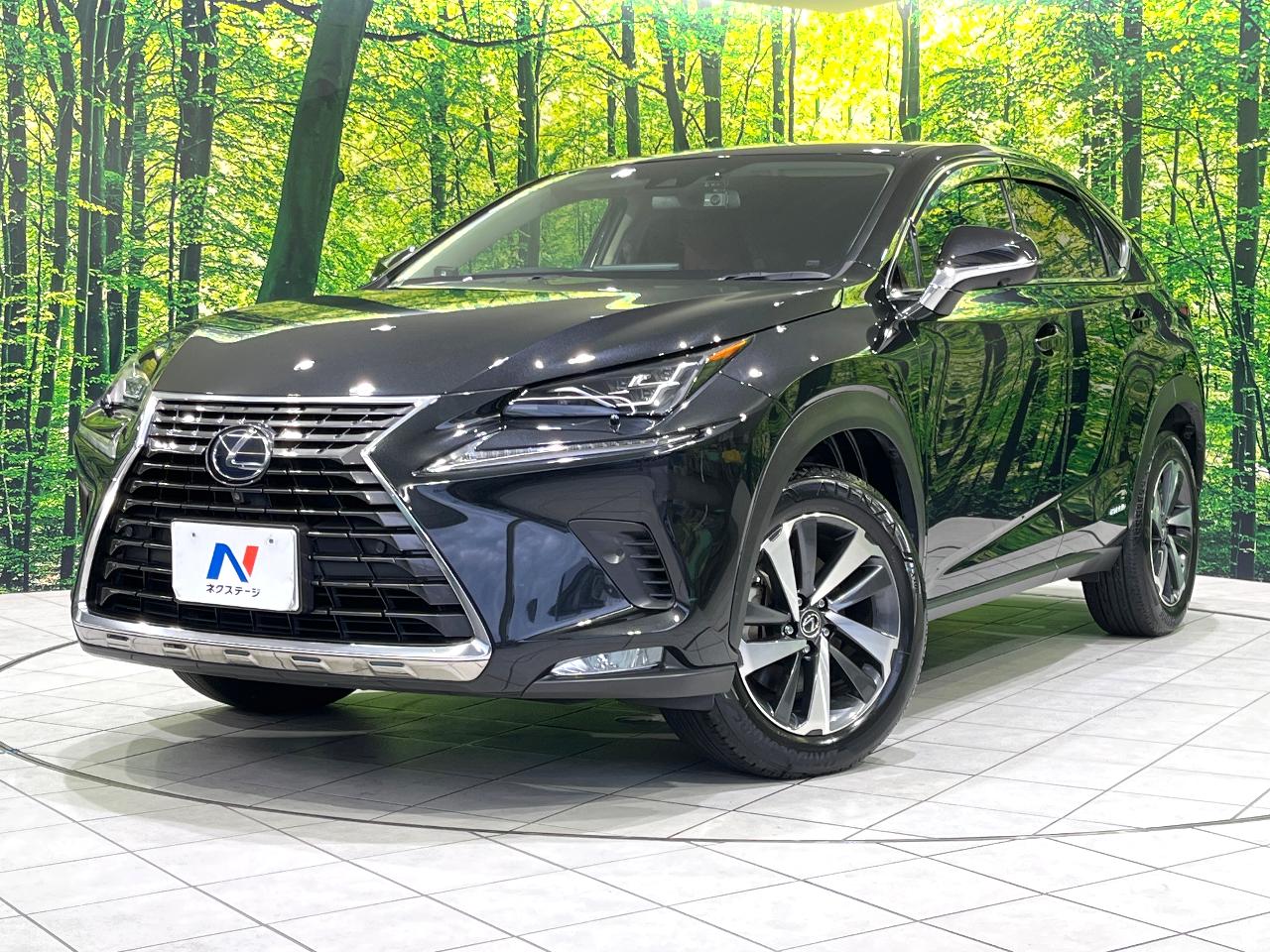 2019 Lexus NX Hybrid NX300h I Package