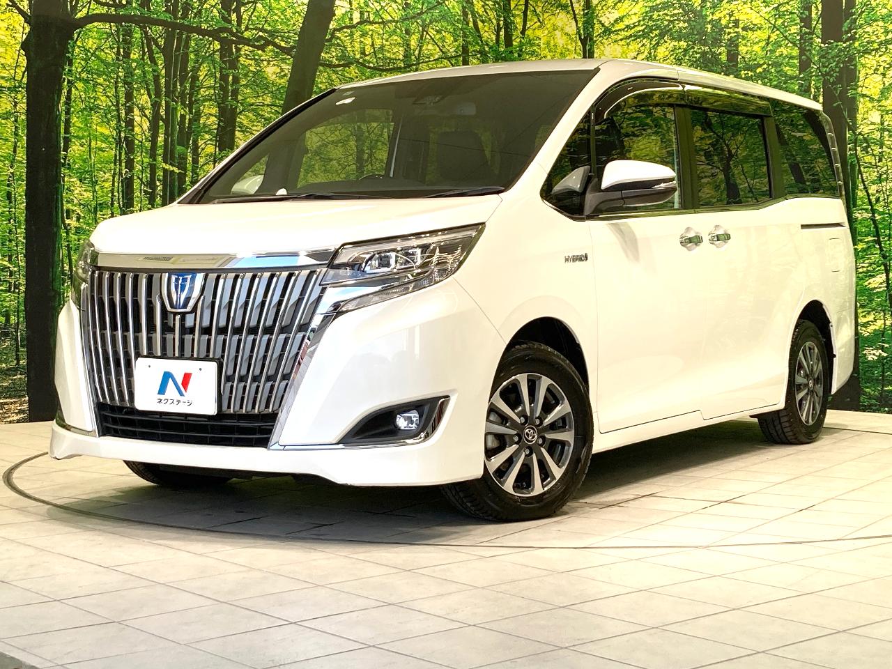 2017 Toyota Esquire Hybrid Hybrid Gi Premium Package
