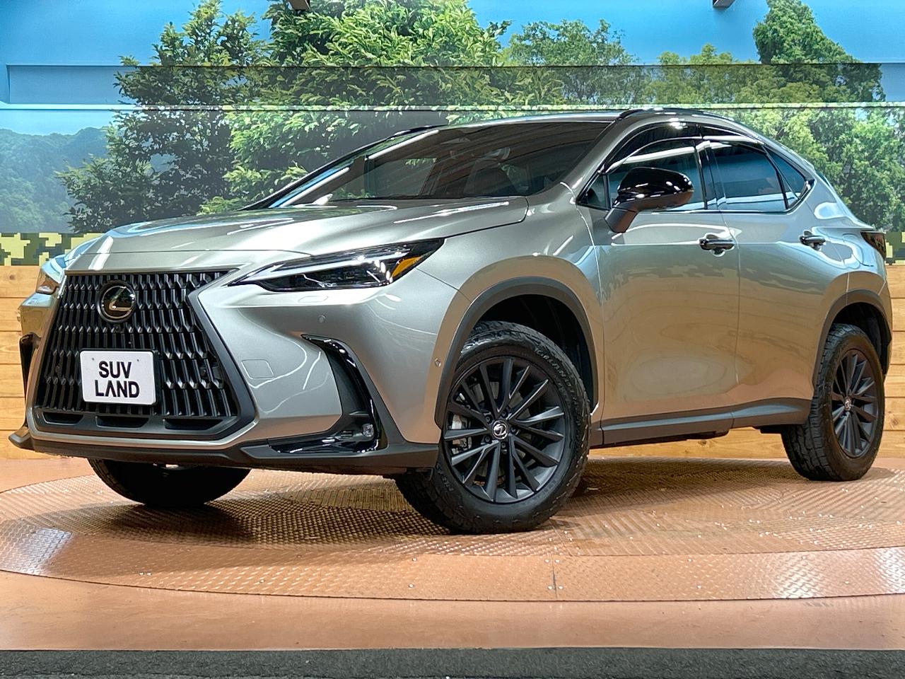 2025 Lexus NX PHEV NX450h+ Overtrail