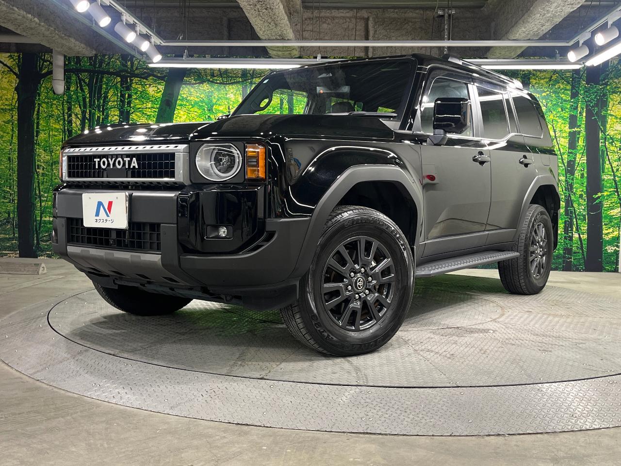 2024 Toyota LandCruiser 250 VX
