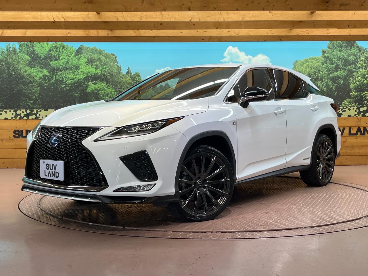 2019 Lexus RX Hybrid RX450h F SPORT