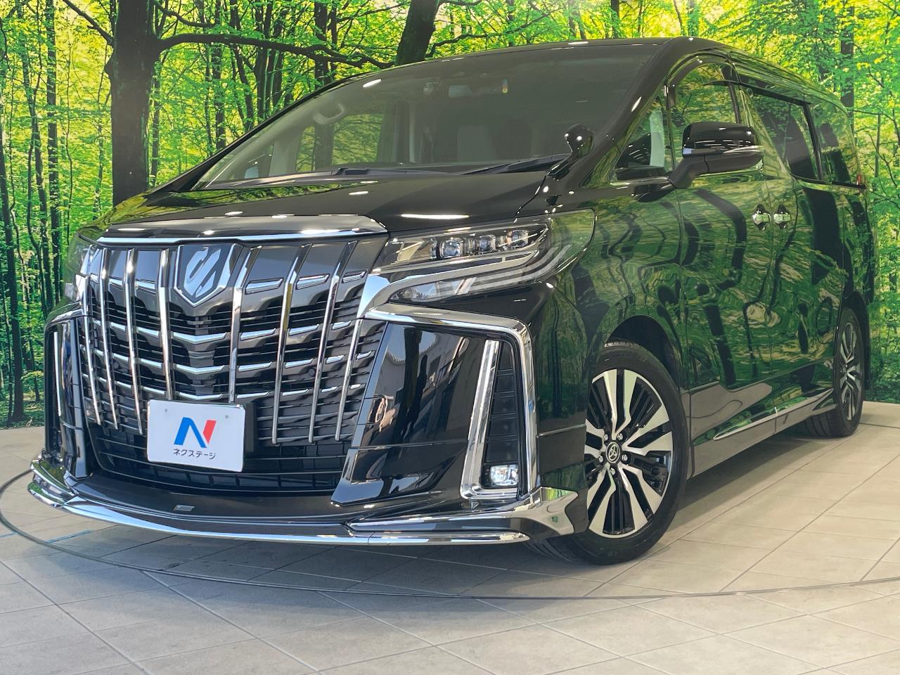 2019 Toyota Alphard 2.5S C Package