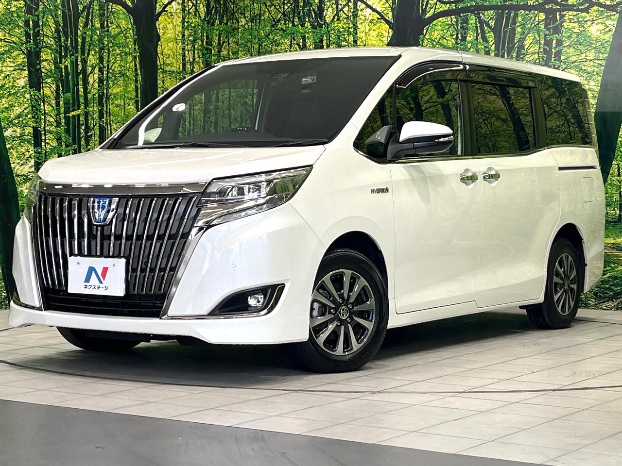 2019 Toyota Esquire Hybrid Hybrid Gi Premium Package Black Tailored