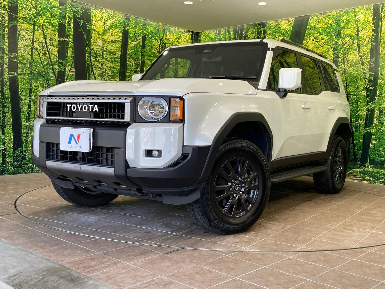 2025 Toyota LandCruiser 250 VX
